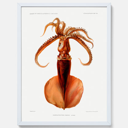 Kökstavla med en bläckfisk, vintageposter med en illustration av en bläckfisk från boken &quot;Résultats des campagnes scientifiques du prince de Monaco&quot;