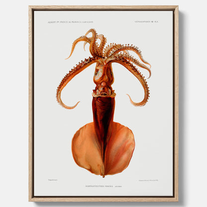 Kökstavla på canvas med en bläckfisk, vintageposter med en illustration av en bläckfisk från boken "Résultats des campagnes scientifiques du prince de Monaco"
