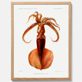 Kökstavla med en bläckfisk, vintageposter med en illustration av en bläckfisk från boken "Résultats des campagnes scientifiques du prince de Monaco"