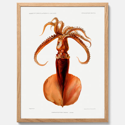 Kökstavla med en bläckfisk, vintageposter med en illustration av en bläckfisk från boken &quot;Résultats des campagnes scientifiques du prince de Monaco&quot;