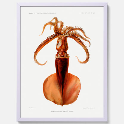 Kökstavla med en bläckfisk, vintageposter med en illustration av en bläckfisk från boken &quot;Résultats des campagnes scientifiques du prince de Monaco&quot;