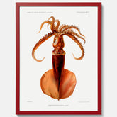 Kökstavla med en bläckfisk, vintageposter med en illustration av en bläckfisk från boken "Résultats des campagnes scientifiques du prince de Monaco"