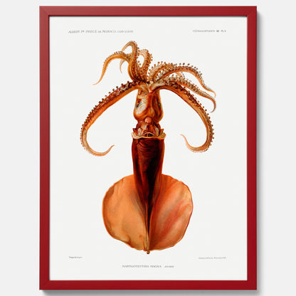 Kökstavla med en bläckfisk, vintageposter med en illustration av en bläckfisk från boken &quot;Résultats des campagnes scientifiques du prince de Monaco&quot;