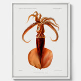 Kökstavla på canvas med en bläckfisk, vintageposter med en illustration av en bläckfisk från boken "Résultats des campagnes scientifiques du prince de Monaco"