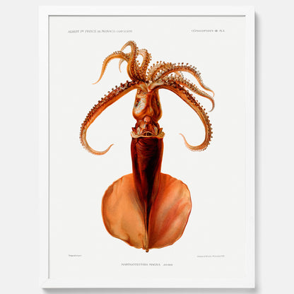 Kökstavla med en bläckfisk, vintageposter med en illustration av en bläckfisk från boken &quot;Résultats des campagnes scientifiques du prince de Monaco&quot;