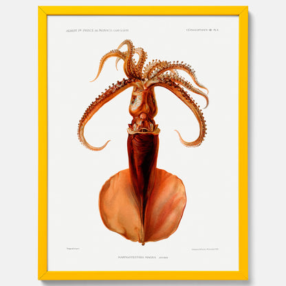 Kökstavla med en bläckfisk, vintageposter med en illustration av en bläckfisk från boken &quot;Résultats des campagnes scientifiques du prince de Monaco&quot;