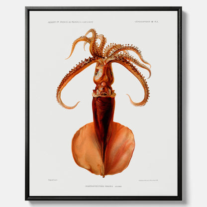 Kökstavla på canvas med en bläckfisk, vintageposter med en illustration av en bläckfisk från boken "Résultats des campagnes scientifiques du prince de Monaco"