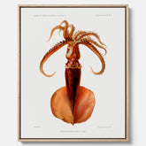 Kökstavla på canvas med en bläckfisk, vintageposter med en illustration av en bläckfisk från boken "Résultats des campagnes scientifiques du prince de Monaco"