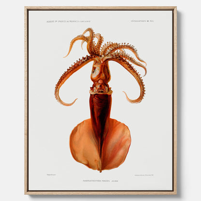 Kökstavla på canvas med en bläckfisk, vintageposter med en illustration av en bläckfisk från boken "Résultats des campagnes scientifiques du prince de Monaco"