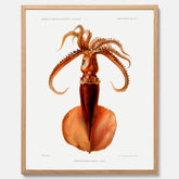 Kökstavla med en bläckfisk, vintageposter med en illustration av en bläckfisk från boken "Résultats des campagnes scientifiques du prince de Monaco"