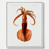 Kökstavla på canvas med en bläckfisk, vintageposter med en illustration av en bläckfisk från boken "Résultats des campagnes scientifiques du prince de Monaco"