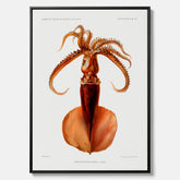 Kökstavla på canvas med en bläckfisk, vintageposter med en illustration av en bläckfisk från boken "Résultats des campagnes scientifiques du prince de Monaco"