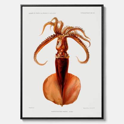 Kökstavla på canvas med en bläckfisk, vintageposter med en illustration av en bläckfisk från boken "Résultats des campagnes scientifiques du prince de Monaco"