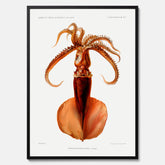 Kökstavla med en bläckfisk, vintageposter med en illustration av en bläckfisk från boken "Résultats des campagnes scientifiques du prince de Monaco"