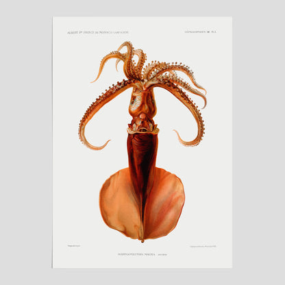 Kökstavla med en bläckfisk, vintageposter med en illustration av en bläckfisk från boken &quot;Résultats des campagnes scientifiques du prince de Monaco&quot;