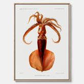 Kökstavla på canvas med en bläckfisk, vintageposter med en illustration av en bläckfisk från boken "Résultats des campagnes scientifiques du prince de Monaco"