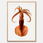 Kökstavla med en bläckfisk, vintageposter med en illustration av en bläckfisk från boken "Résultats des campagnes scientifiques du prince de Monaco"