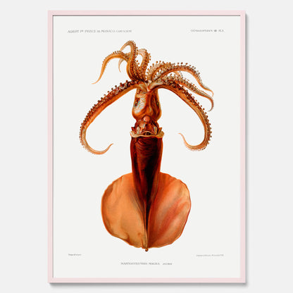 Kökstavla med en bläckfisk, vintageposter med en illustration av en bläckfisk från boken &quot;Résultats des campagnes scientifiques du prince de Monaco&quot;