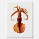 Kökstavla på canvas med en bläckfisk, vintageposter med en illustration av en bläckfisk från boken "Résultats des campagnes scientifiques du prince de Monaco"
