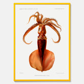 Kökstavla med en bläckfisk, vintageposter med en illustration av en bläckfisk från boken "Résultats des campagnes scientifiques du prince de Monaco"