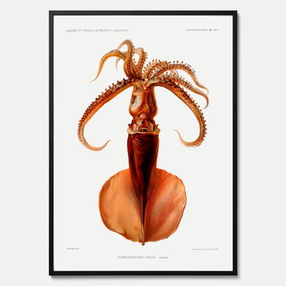 Kökstavla med en bläckfisk, vintageposter med en illustration av en bläckfisk från boken &quot;Résultats des campagnes scientifiques du prince de Monaco&quot;