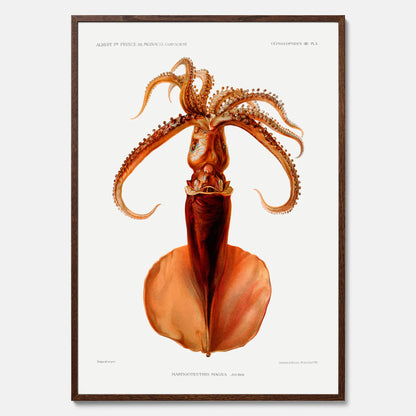 Kökstavla med en bläckfisk, vintageposter med en illustration av en bläckfisk från boken &quot;Résultats des campagnes scientifiques du prince de Monaco&quot;