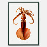 Kökstavla med en bläckfisk, vintageposter med en illustration av en bläckfisk från boken "Résultats des campagnes scientifiques du prince de Monaco"