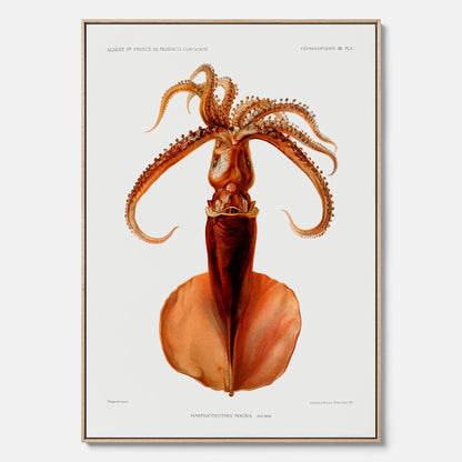 Kökstavla på canvas med en bläckfisk, vintageposter med en illustration av en bläckfisk från boken "Résultats des campagnes scientifiques du prince de Monaco"