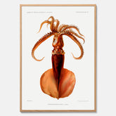 Kökstavla med en bläckfisk, vintageposter med en illustration av en bläckfisk från boken "Résultats des campagnes scientifiques du prince de Monaco"
