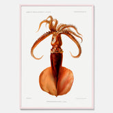 Kökstavla med en bläckfisk, vintageposter med en illustration av en bläckfisk från boken "Résultats des campagnes scientifiques du prince de Monaco"