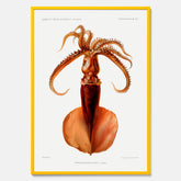 Kökstavla med en bläckfisk, vintageposter med en illustration av en bläckfisk från boken "Résultats des campagnes scientifiques du prince de Monaco"