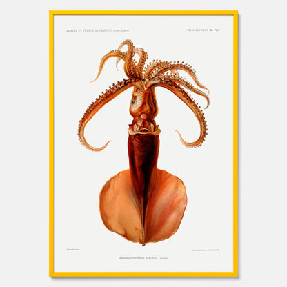 Kökstavla med en bläckfisk, vintageposter med en illustration av en bläckfisk från boken &quot;Résultats des campagnes scientifiques du prince de Monaco&quot;
