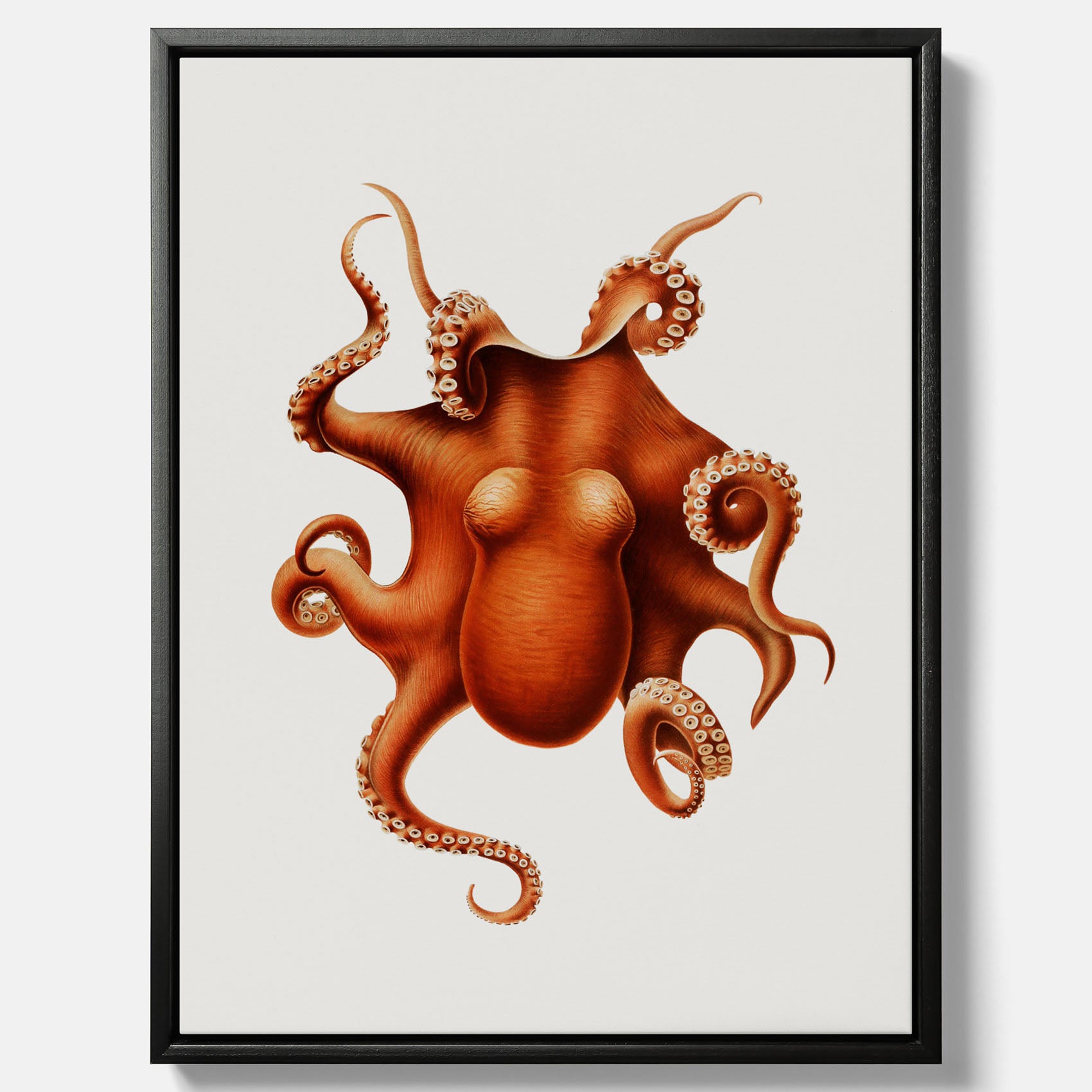 Kökstavla med en Bläckfisk canvas – Färgglad affisch med en djurillustration, köksposter, tavla till kök, poster till kök