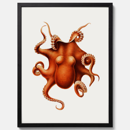 Kökstavla med en Bläckfisk Poster – Färgglad affisch med en djurillustration, köksposter, tavla till kök, poster till kök