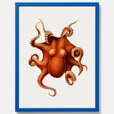 Kökstavla med en Bläckfisk Poster – Färgglad affisch med en djurillustration, köksposter, tavla till kök, poster till kök