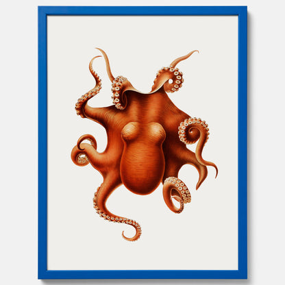 Kökstavla med en Bläckfisk Poster – Färgglad affisch med en djurillustration, köksposter, tavla till kök, poster till kök
