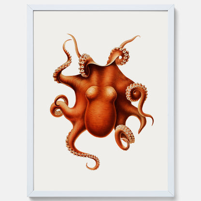 Kökstavla med en Bläckfisk Poster – Färgglad affisch med en djurillustration, köksposter, tavla till kök, poster till kök