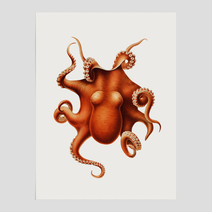 Kökstavla med en Bläckfisk Poster – Färgglad affisch med en djurillustration, köksposter, tavla till kök, poster till kök