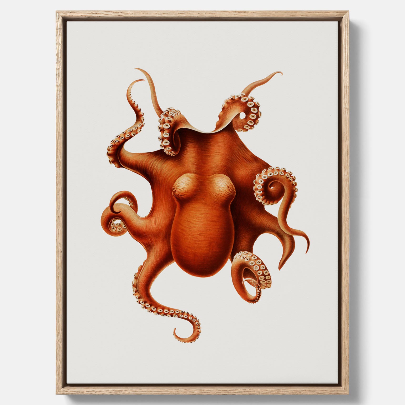 Kökstavla med en Bläckfisk canvas – Färgglad affisch med en djurillustration, köksposter, tavla till kök, poster till kök