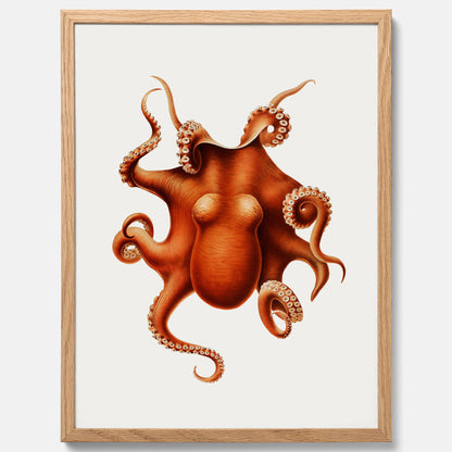 Kökstavla med en Bläckfisk Poster – Färgglad affisch med en djurillustration, köksposter, tavla till kök, poster till kök