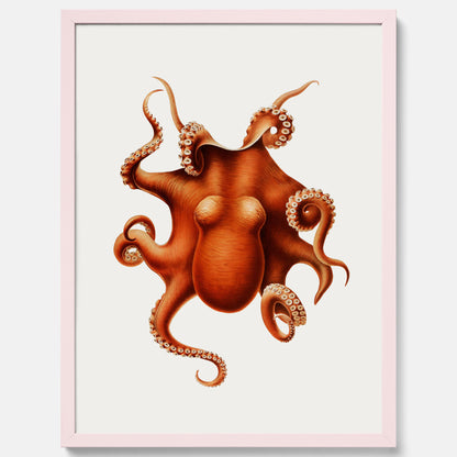 Kökstavla med en Bläckfisk Poster – Färgglad affisch med en djurillustration, köksposter, tavla till kök, poster till kök