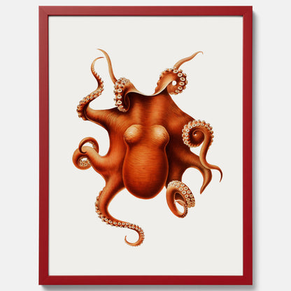 Kökstavla med en Bläckfisk Poster – Färgglad affisch med en djurillustration, köksposter, tavla till kök, poster till kök