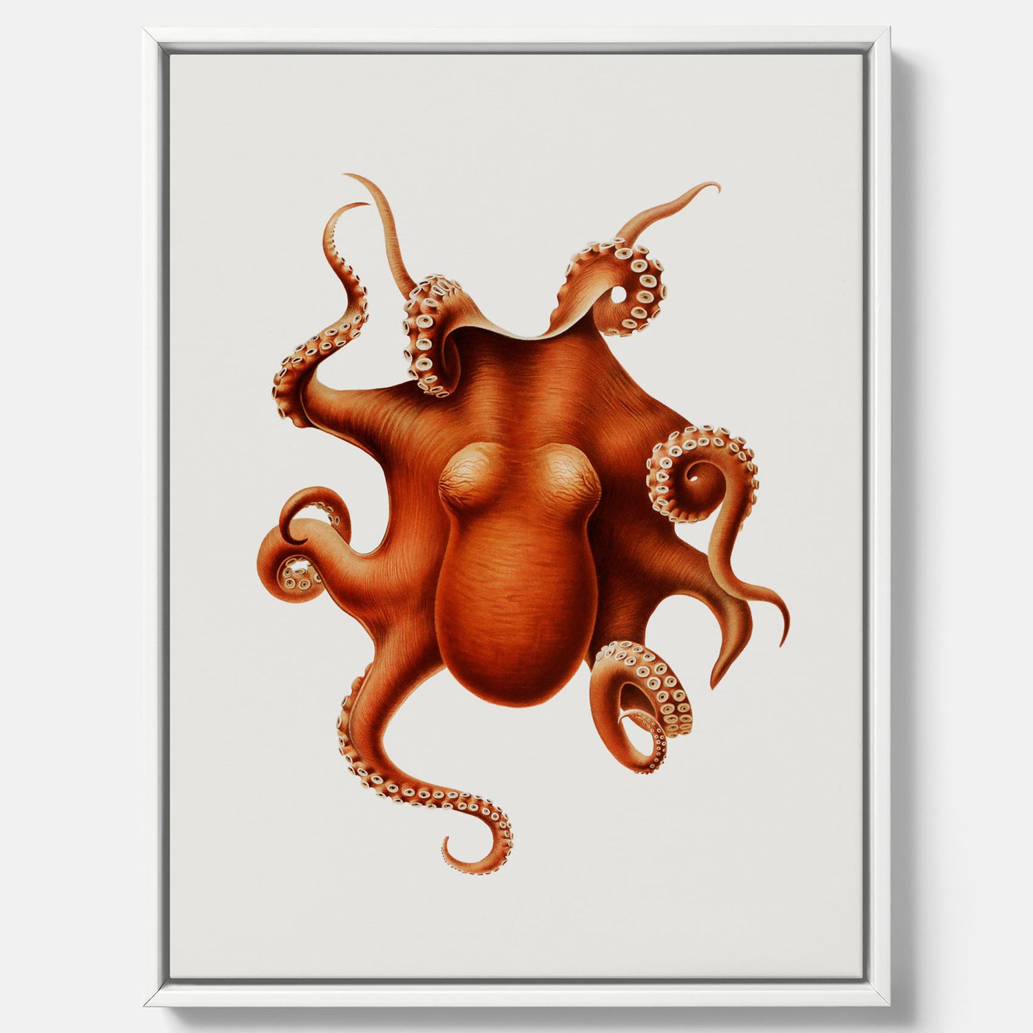Kökstavla med en Bläckfisk canvas – Färgglad affisch med en djurillustration, köksposter, tavla till kök, poster till kök