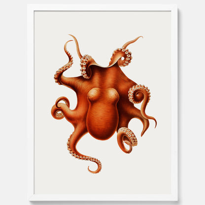 Kökstavla med en Bläckfisk Poster – Färgglad affisch med en djurillustration, köksposter, tavla till kök, poster till kök
