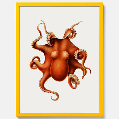 Kökstavla med en Bläckfisk Poster – Färgglad affisch med en djurillustration, köksposter, tavla till kök, poster till kök