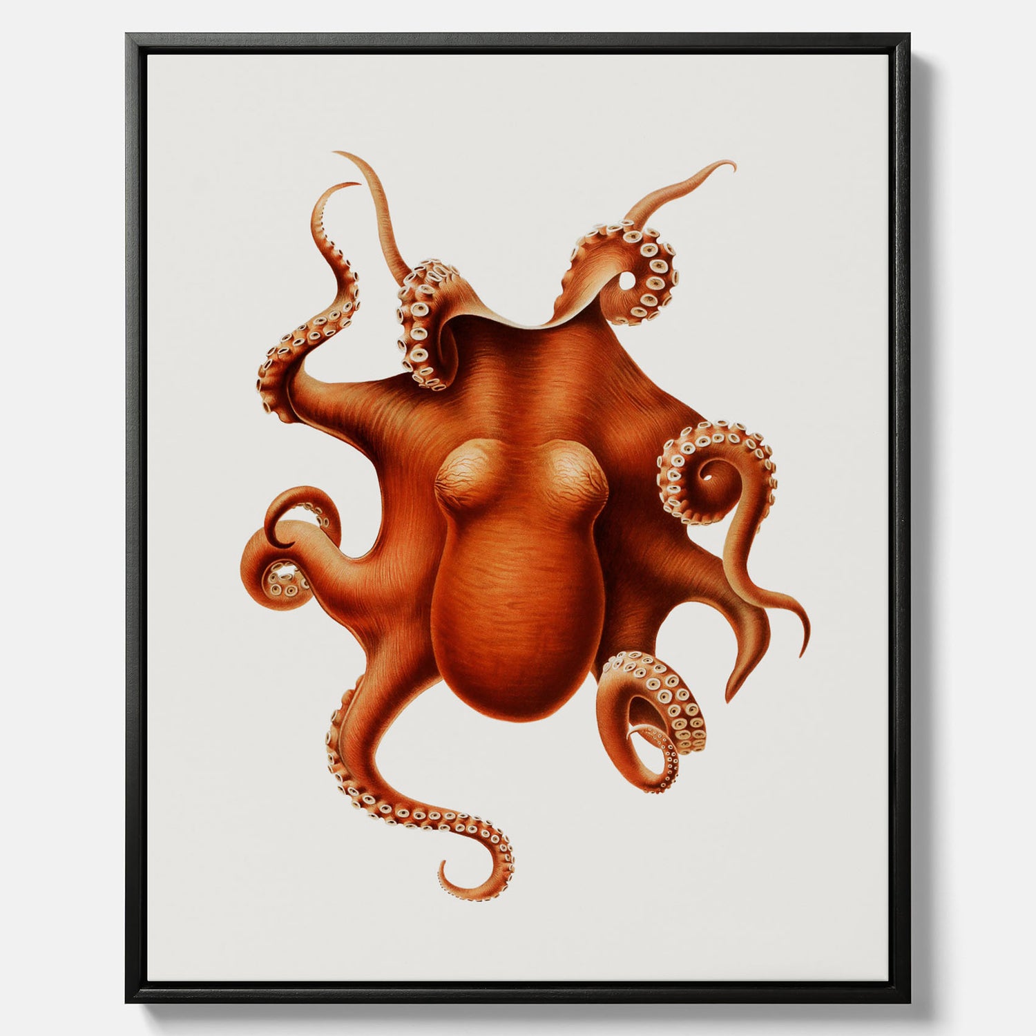 Kökstavla med en Bläckfisk canvas – Färgglad affisch med en djurillustration, köksposter, tavla till kök, poster till kök