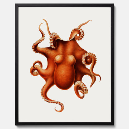 Kökstavla med en Bläckfisk Poster – Färgglad affisch med en djurillustration, köksposter, tavla till kök, poster till kök