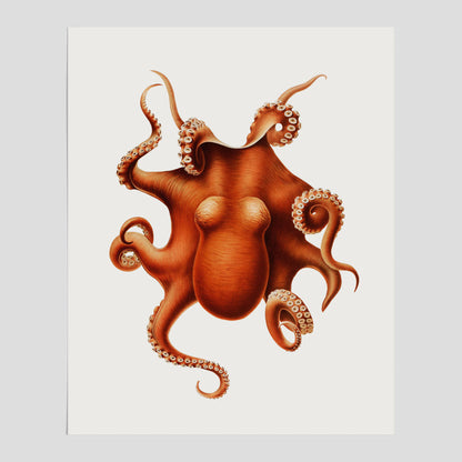 Kökstavla med en Bläckfisk Poster – Färgglad affisch med en djurillustration, köksposter, tavla till kök, poster till kök