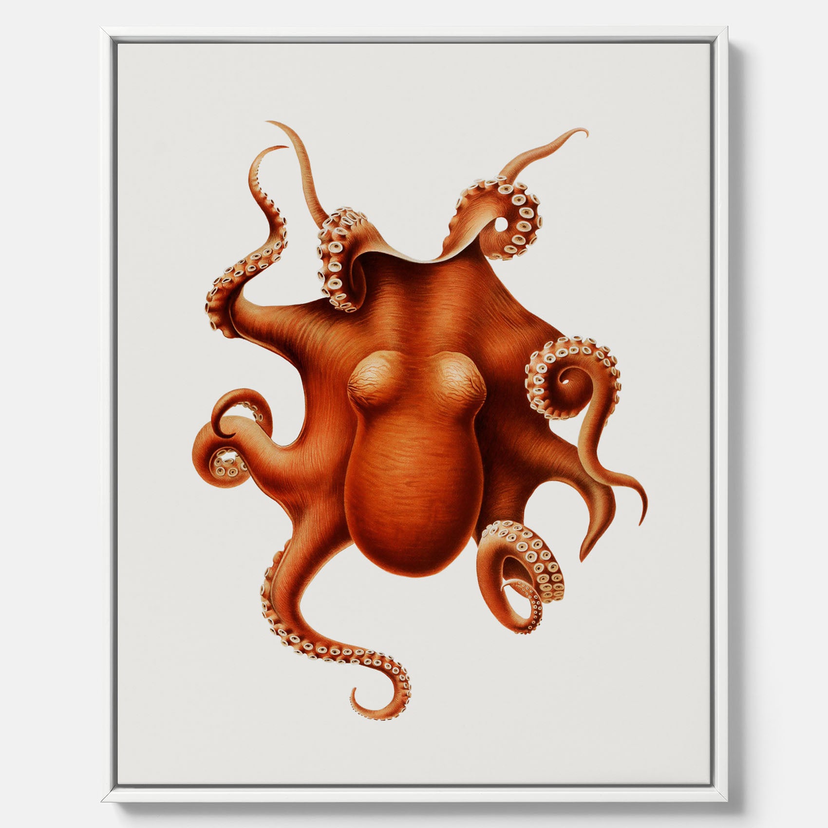 Kökstavla med en Bläckfisk canvas – Färgglad affisch med en djurillustration, köksposter, tavla till kök, poster till kök