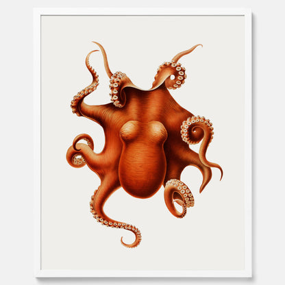 Kökstavla med en Bläckfisk Poster – Färgglad affisch med en djurillustration, köksposter, tavla till kök, poster till kök